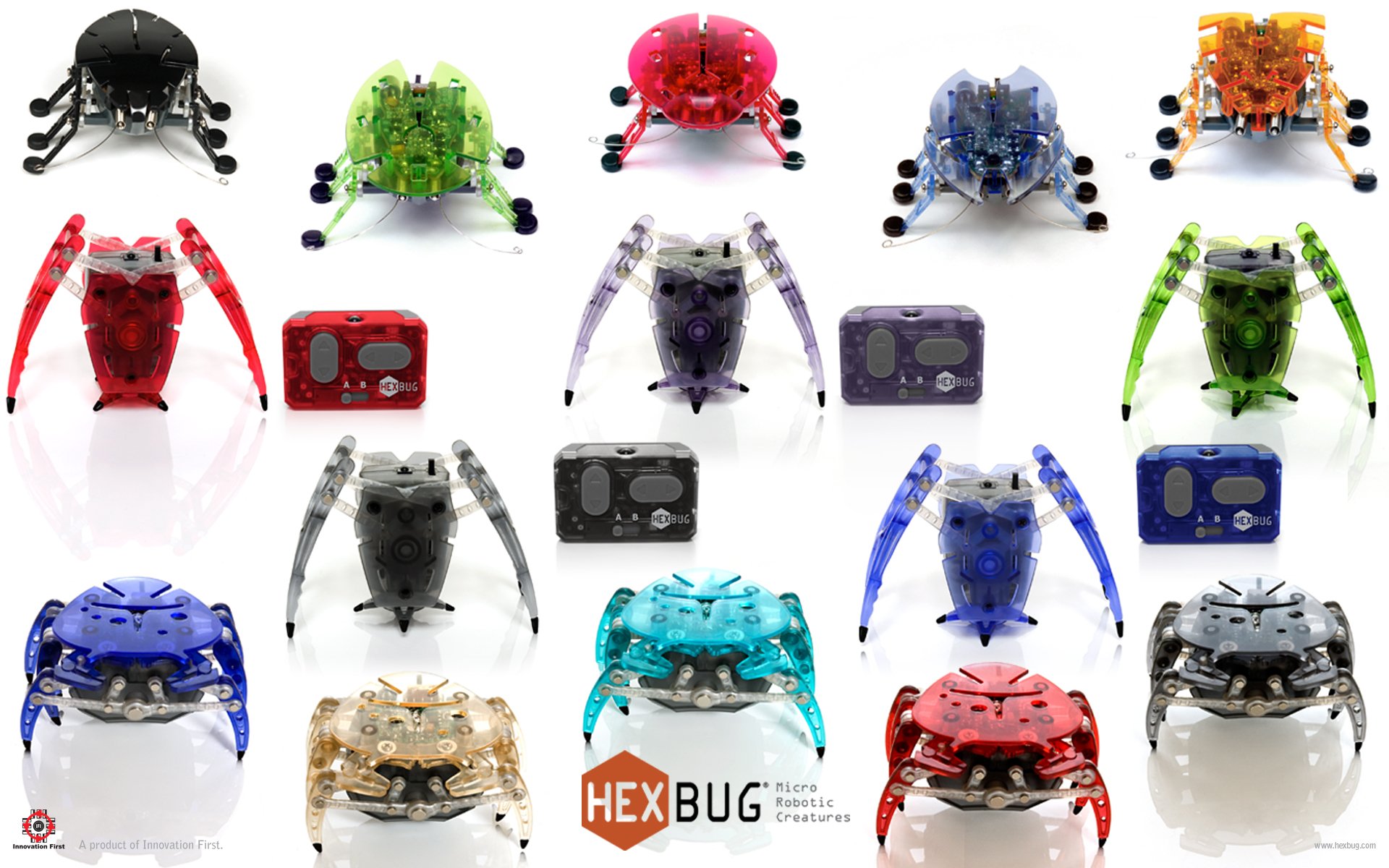 Hex Bugs Ant